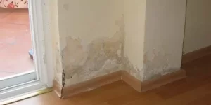 evim dış duvardan su alıyor